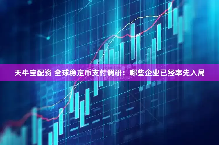 天牛宝配资 全球稳定币支付调研：哪些企业已经率先入局