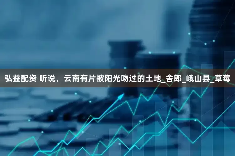 弘益配资 听说，云南有片被阳光吻过的土地_舍郎_峨山县_草莓