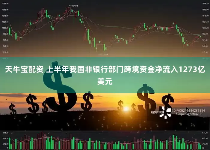 天牛宝配资 上半年我国非银行部门跨境资金净流入1273亿美元