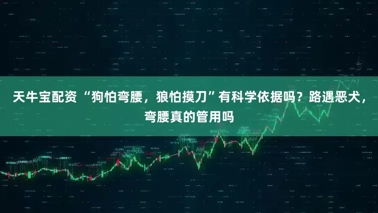 天牛宝配资 “狗怕弯腰，狼怕摸刀”有科学依据吗？路遇恶犬，弯腰真的管用吗