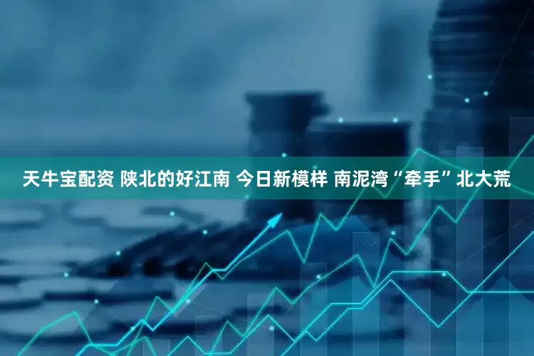 天牛宝配资 陕北的好江南 今日新模样 南泥湾“牵手”北大荒