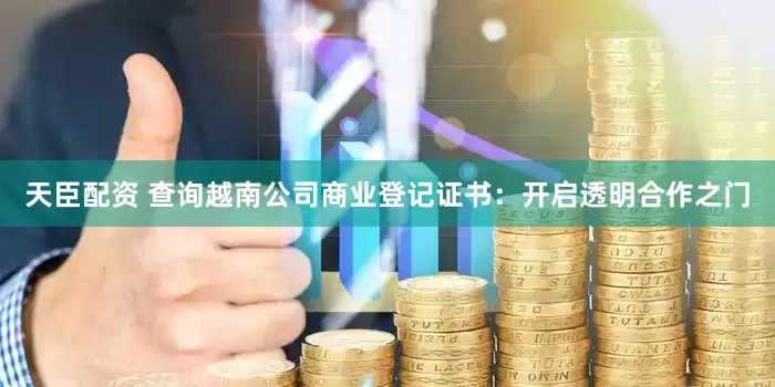 天臣配资 查询越南公司商业登记证书：开启透明合作之门