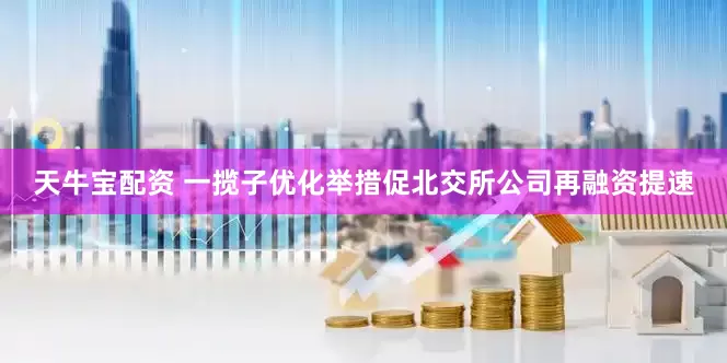 天牛宝配资 一揽子优化举措促北交所公司再融资提速